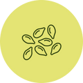 Flaxseed